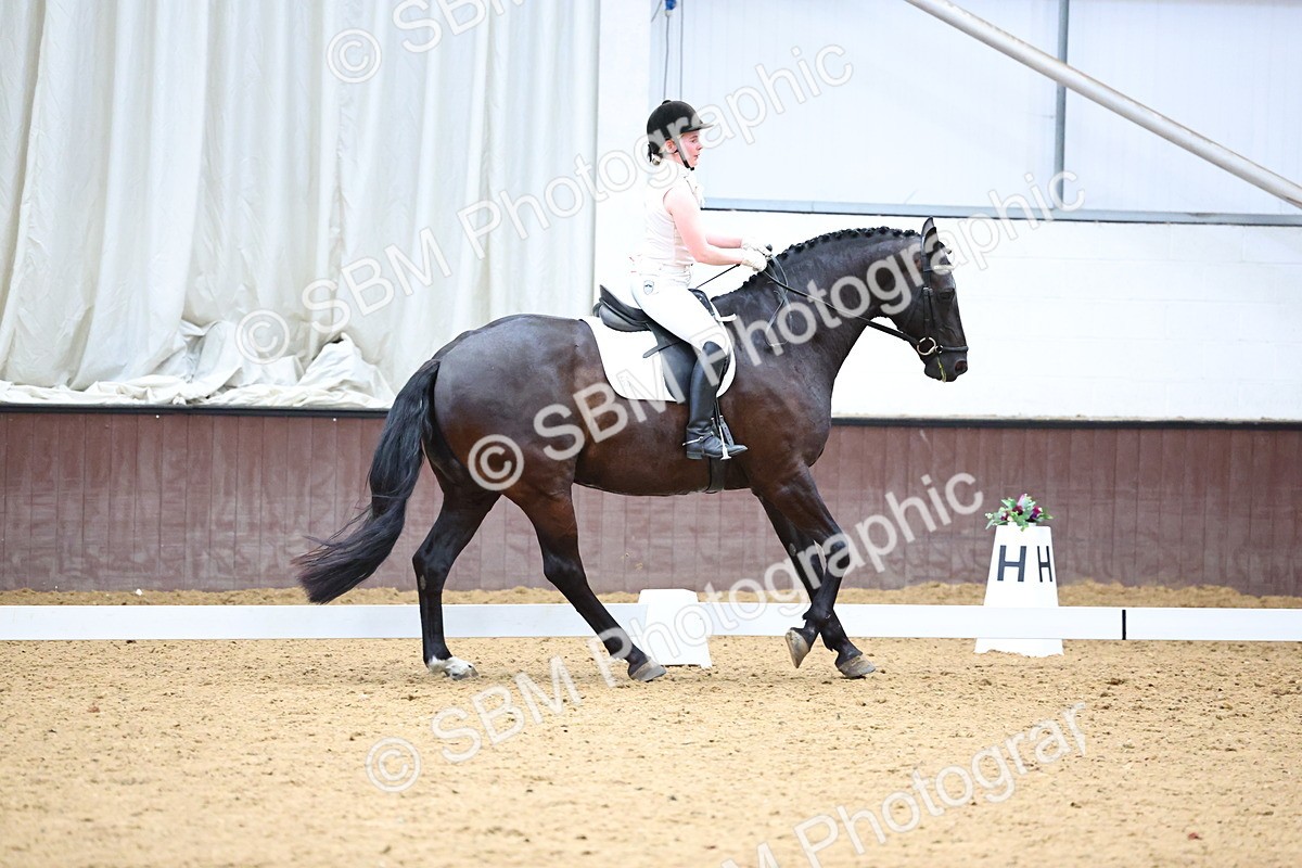 SBM_005554 - Elementary 2