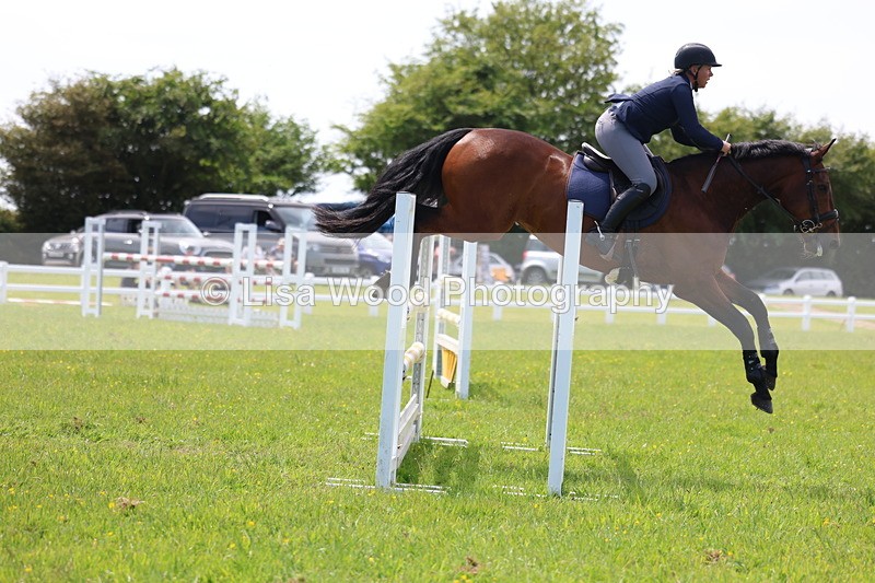 3E7A1383 - Class 12: Senior Foxhunter/1.20 open