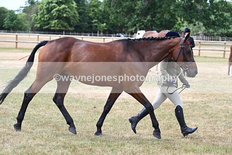 WJ7_1915 - Class 4a Prettiest Mare 14.2hh and over hand