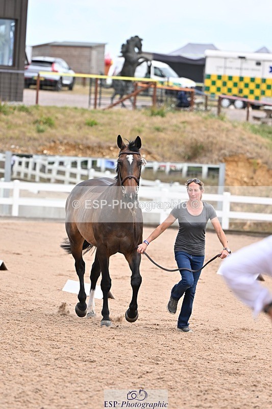 250716-135712-00810 - Trot Up 1.30 to 2.30