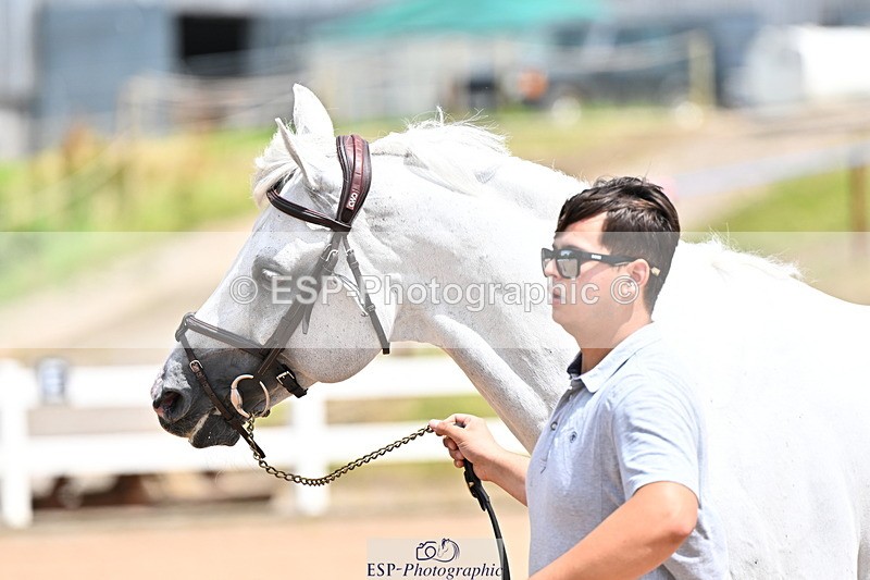 240718A-105307-01578 - Trot Up 1pm to 2pm