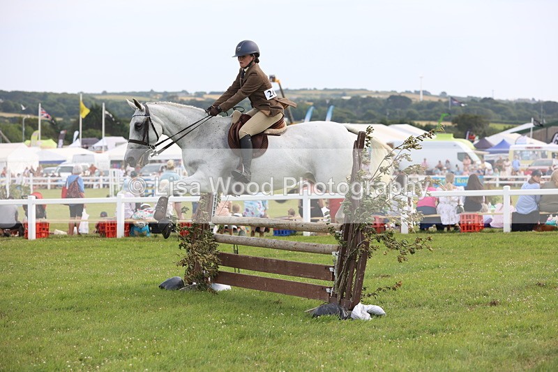 JPP_4169 - Class 25: Working Show Horse