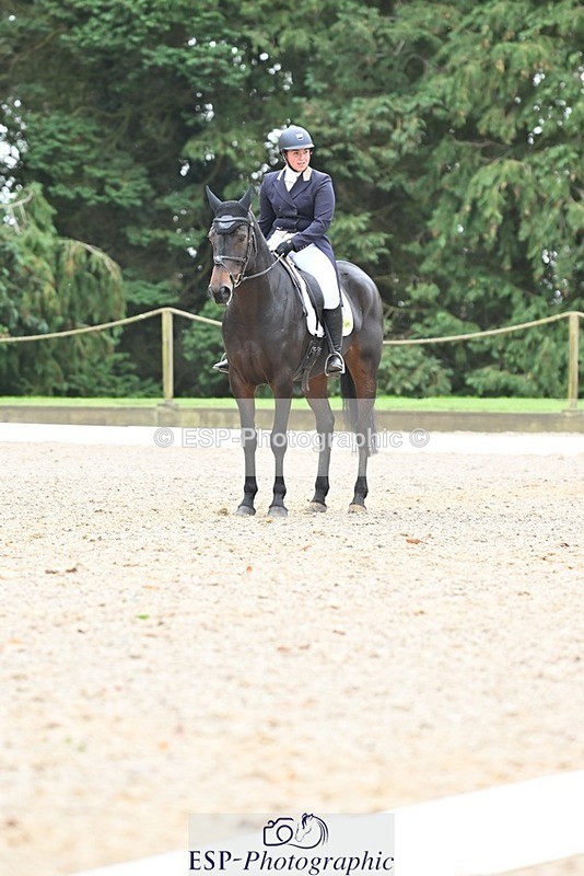 231019-130829-03307 - 121-KNOCKADERRY.MISTY.BAT-Harriet.Dickin-DR