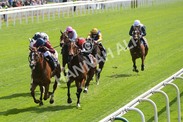 yr12052022r2-20 - Race 2 2.25pm Al Basti Equiworld Dubai Middleton Fillies' Stakes