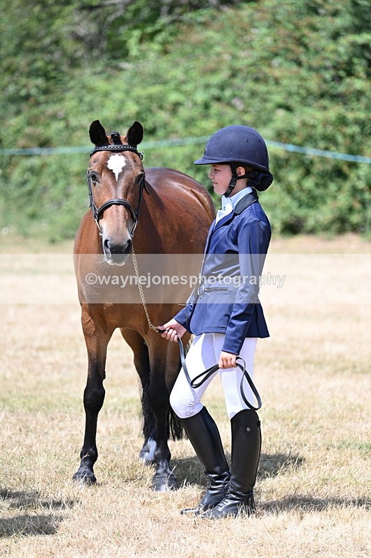 WJ7_2194 - Class 5 Most Handsome Gelding (up to 14.2hh) in hand