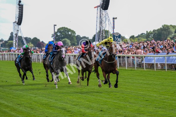 280625-Race 4-Hankelow-0313 - Race 4 3.40pm Al Basti Equiworld Dubai Novice Stakes