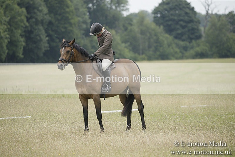 B230619-0629 - Bourne Valley Riding Club Summer Show 23/06/19