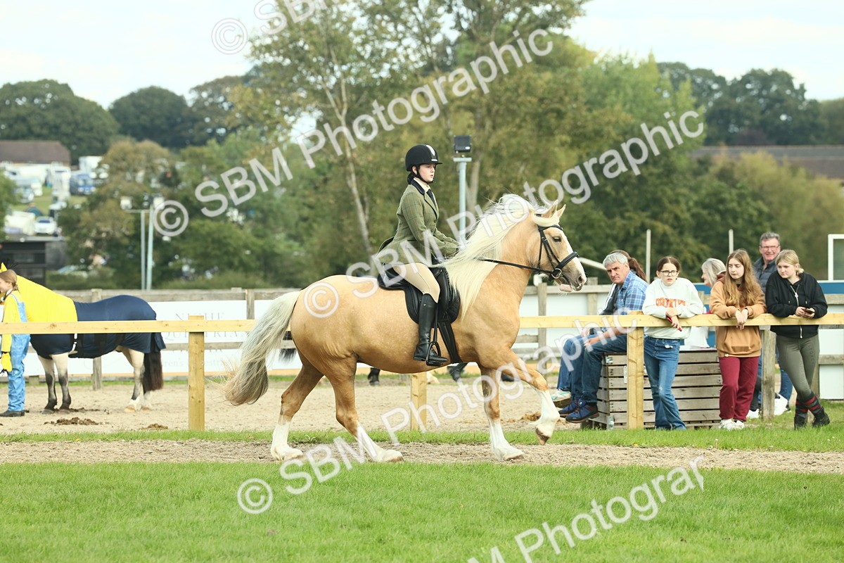 SBM_62664 - S63 - Other Coloured Horse Ridden