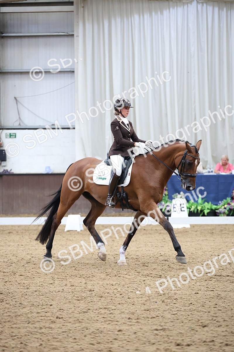 SBM_003419 - Class 5 - Novice 6 Gold - 13.05-14.00