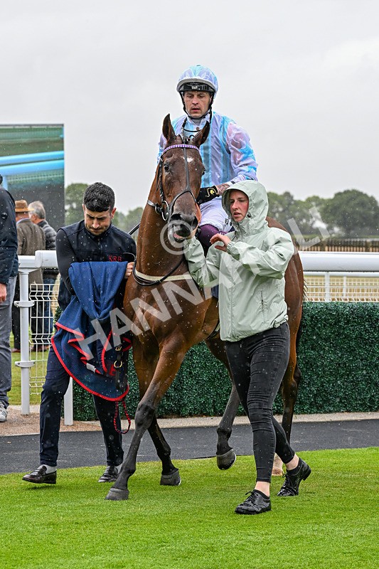 150725-Race 2-Pearl Fortune-0210 - Race 2