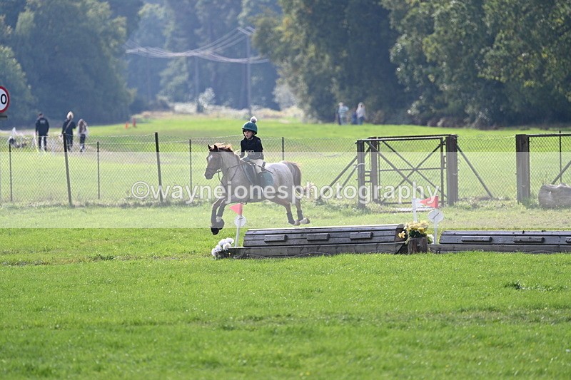 WJ7_4974 - 60cm Time 11:11 to 11:19