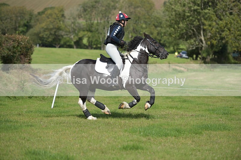 RAY_8663 - Class 2: Trekenning Open: Wall