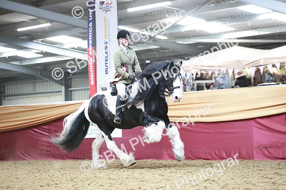 SBM_08719 - Regional Ridden Champ