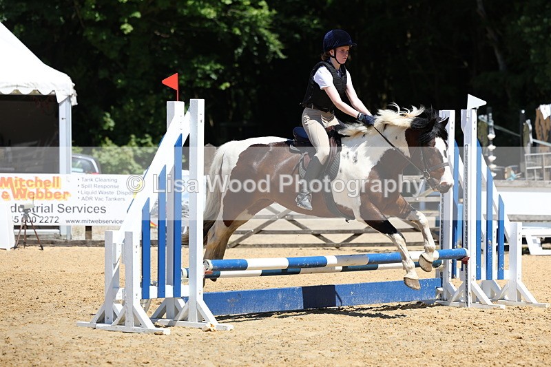 3E7A2548 - Class 4/5: 60cm Open Teams and Individuals