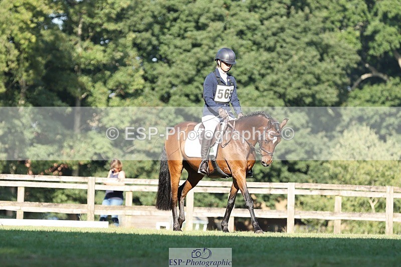 250823A-085839-25811 - Arena D