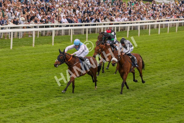 250524-Race 4-Term Of Endearment-3145 - Race 4 3.20pm William Hill Bronte Cup Fillies' Stakes