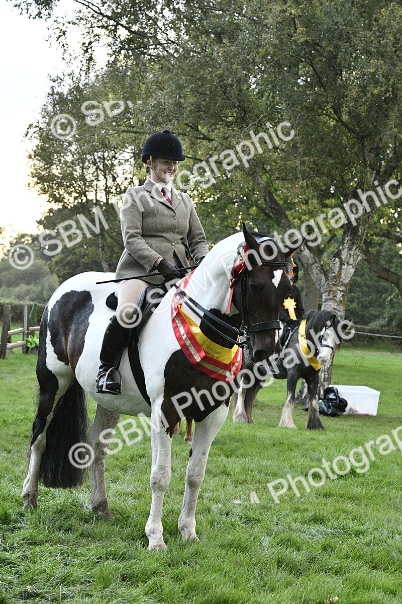 SBM_53335 - S14 - Riding Club Horse