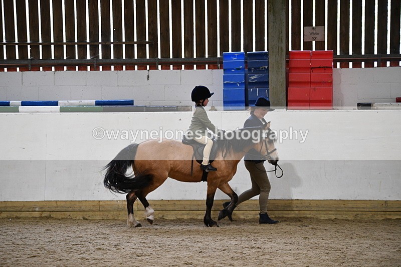 WJ5_6693 - Class 10 Childs Pony