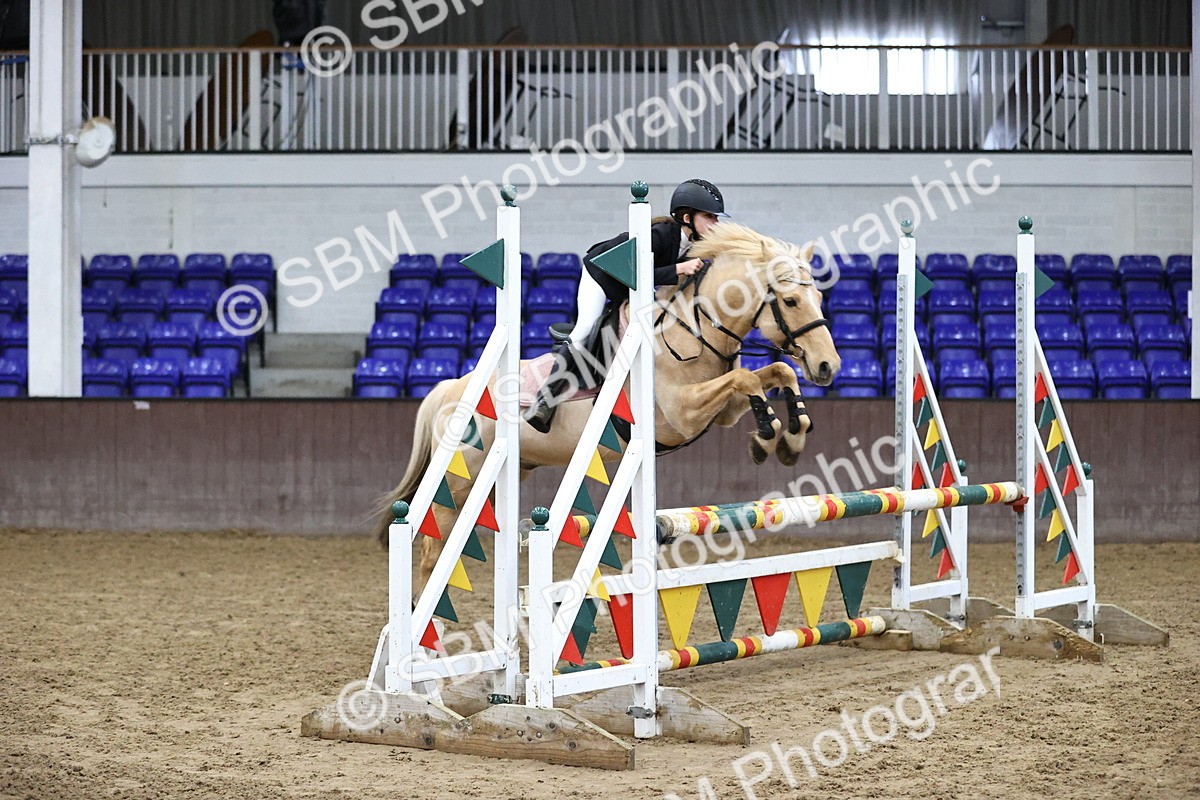 SBM_001403 - Class 9 - Pony British Novice 80cm