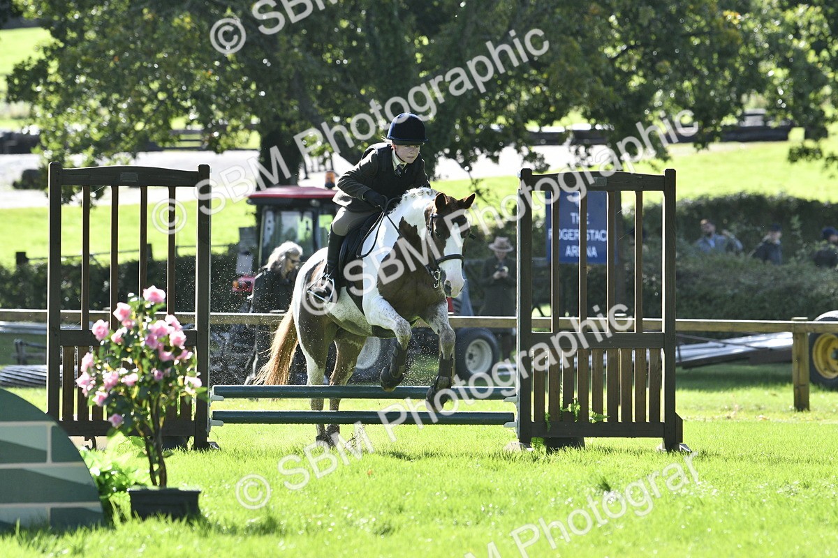 SBM_38183 - S31 - Novice & Newcomer Working Hunter Pony