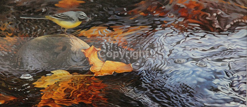 'GOLDEN OCTOBER' - Birds