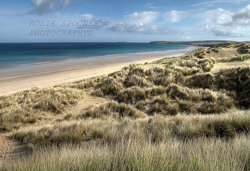 Hayle Sand Dunes - Cornwall Misc