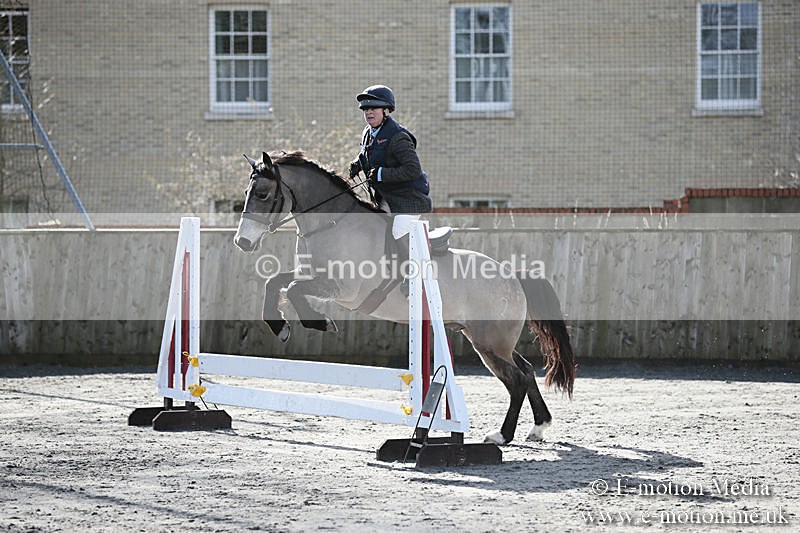 BVRC SJ 170319 21 - Bourne Valley Riding Club Showjumping 17/03/19