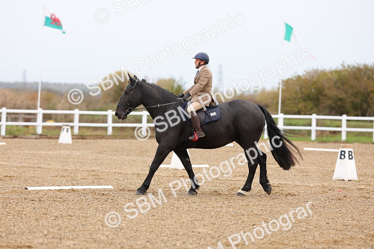 SBM_000114 - Intro 2