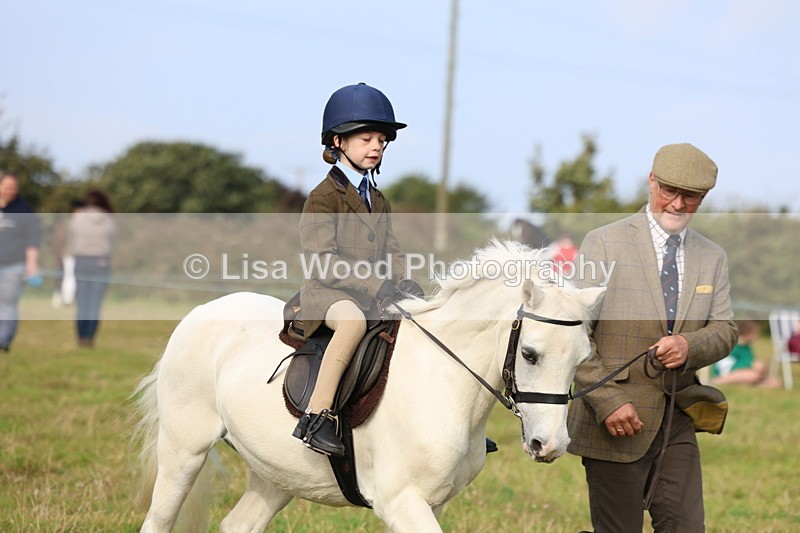 3E7A3705 - Class 2: Lead rein