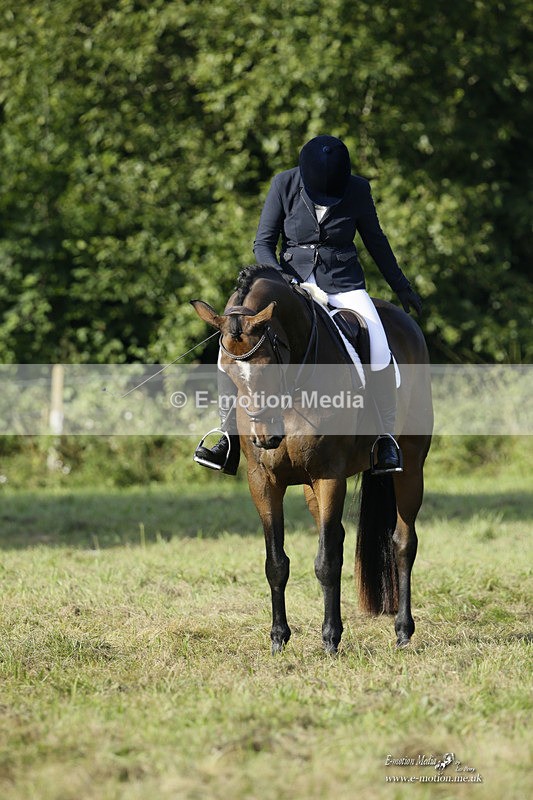 BVRC 120921 115 - Bourne Valley Riding Club UA Dressage & Show Jumping 12/09/21