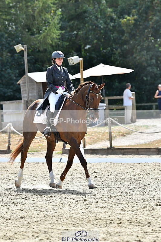 260802A-152159-07375 - Intermediate Bronze