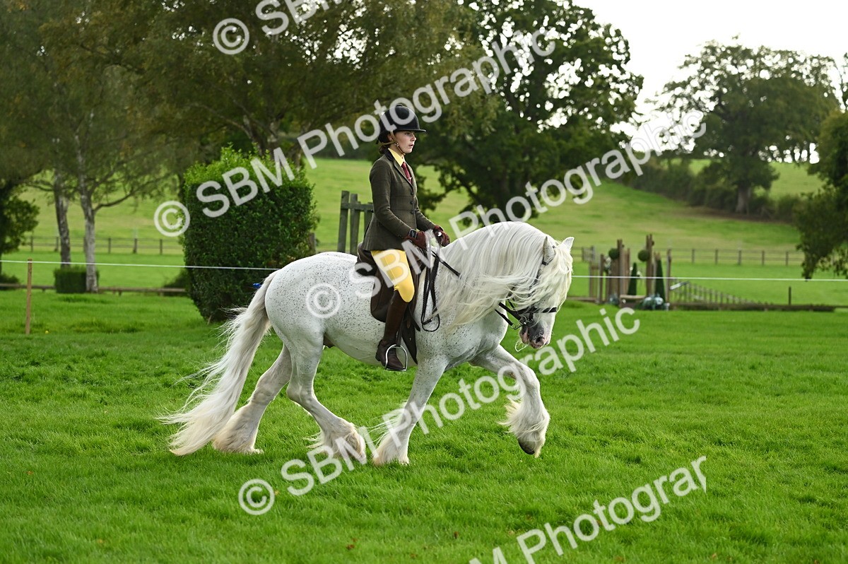 SBM_26613 - S7 - Novice & Newcomer Ridden Pony