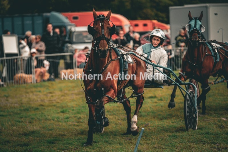 DSCF7398 - Kilnsey Harness racing