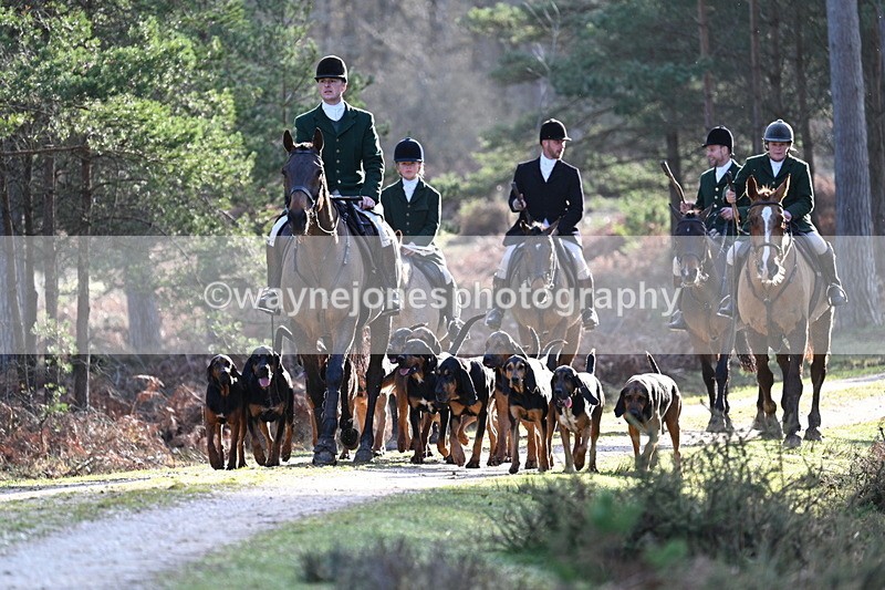 WJ7_7624 - Line 3 (no line 4 or 5)