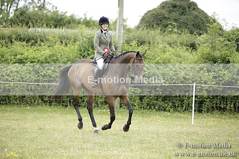 BVR160717-1063 - Ring 1 BVRC Show 16/07/17