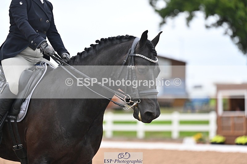 240817A-161257-10482 - 245-Lyn.Gale-Sylvester