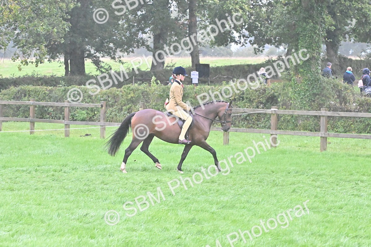 SBM_72162 - Equitation Supreme Championship