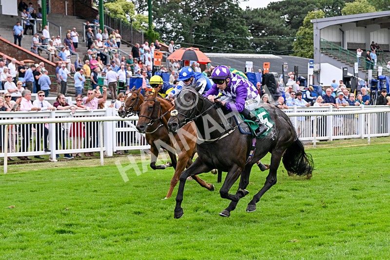 010726-Race 7-Indian Run-8891 - Race 7 16.10pm Weatherbys Global Stallions App Handicap