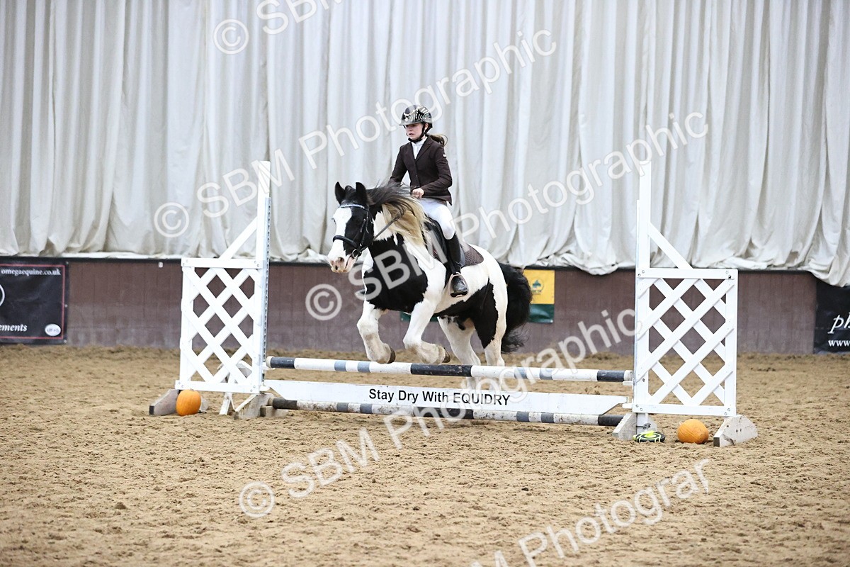 SBM_001187 - Class 3 - Horse & Hound 60cm