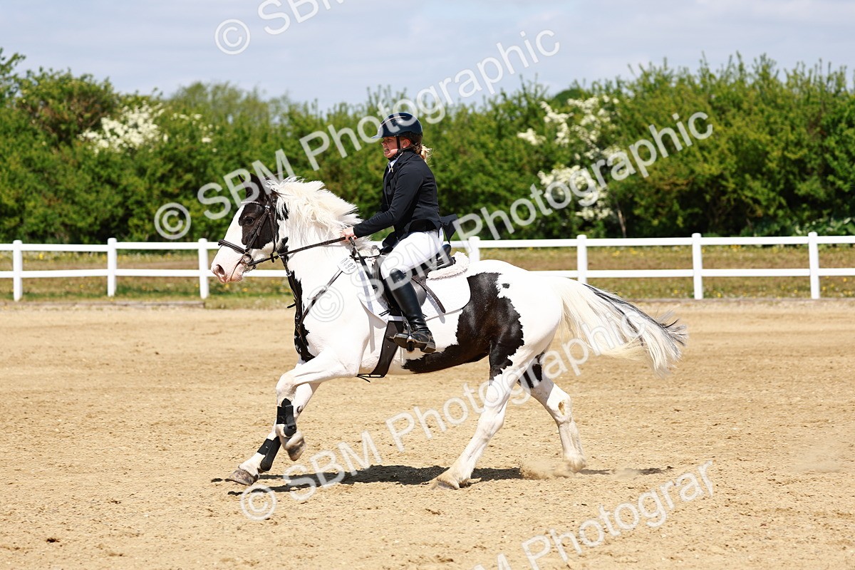 SBM_007698 - Class 3 - 60cm