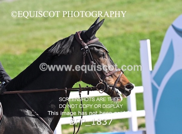 BPP_1837 - CLASS 2 - FRI - KBIS Club Senior 80cms