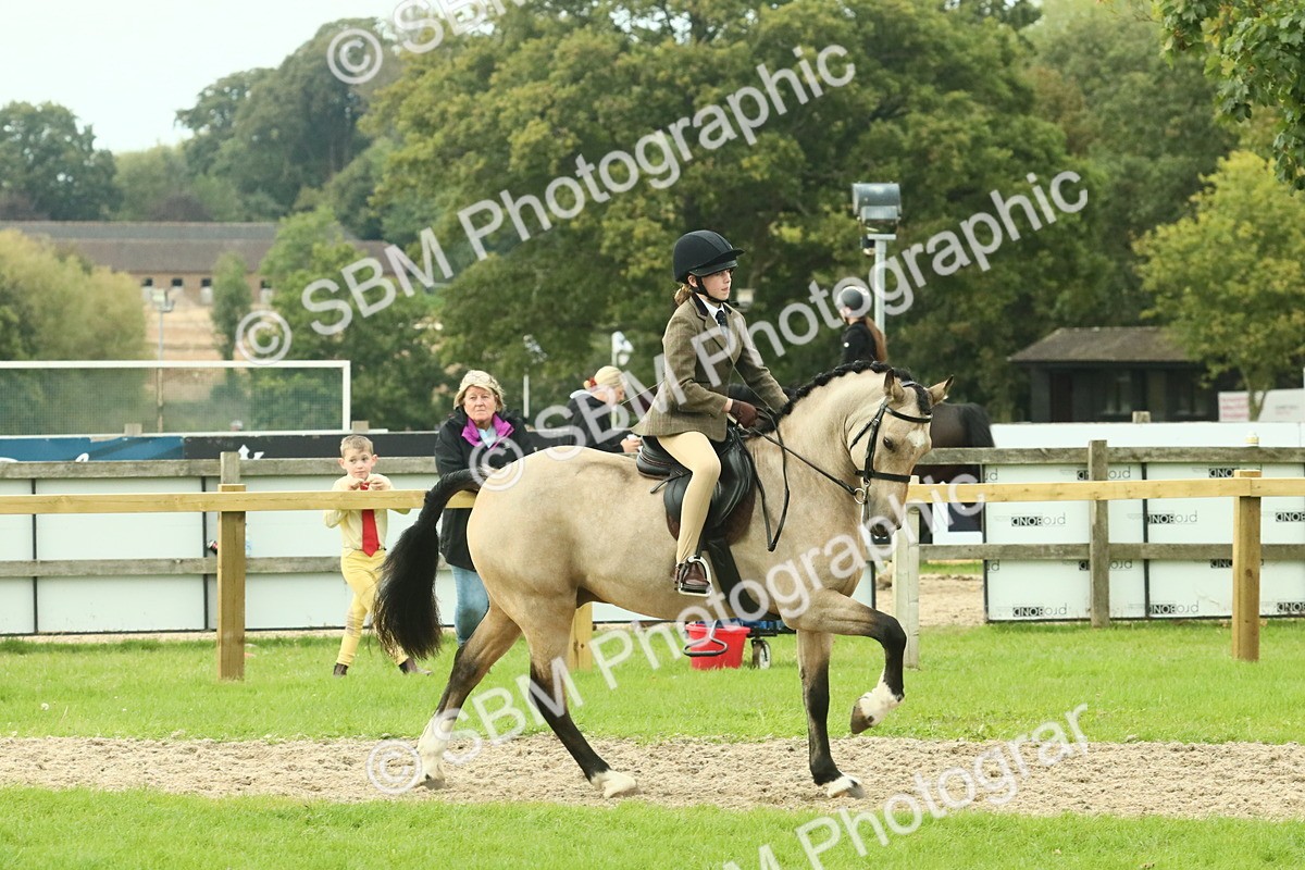 SBM_73997 - S 61 - Show Pony & Show Hunter Pony Ridden