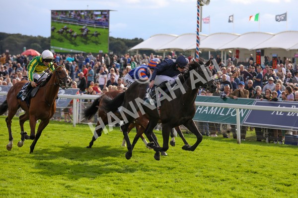 250823-Race 6-Battle Cry-5942 - Race 6 4.45pm British EBF 40th Anniversary Convivial Maiden Stakes