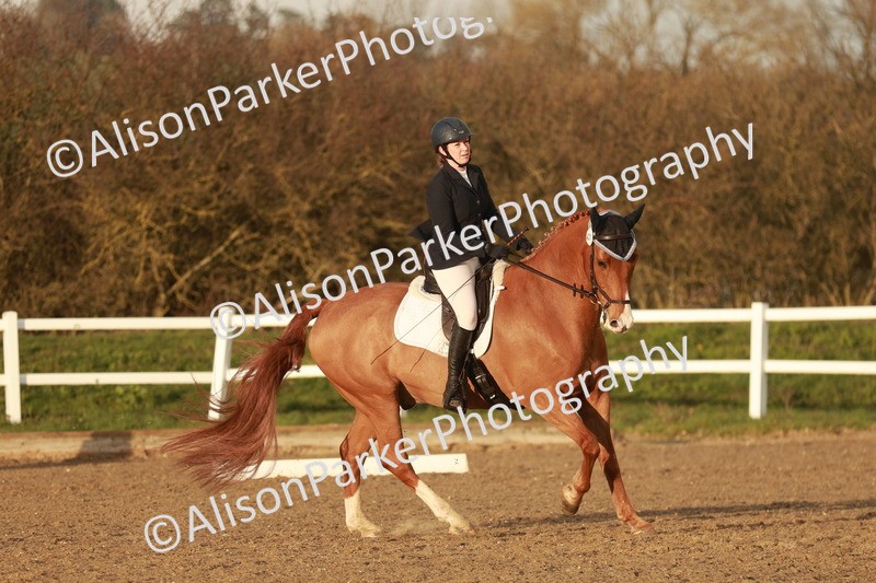 20260314-6484 - CT7 - Elementary 2