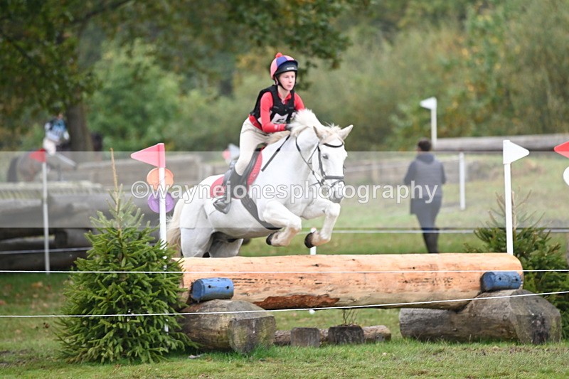 WJ6_2640 - 80cm Cam 1 Time 11:23 to 12:04