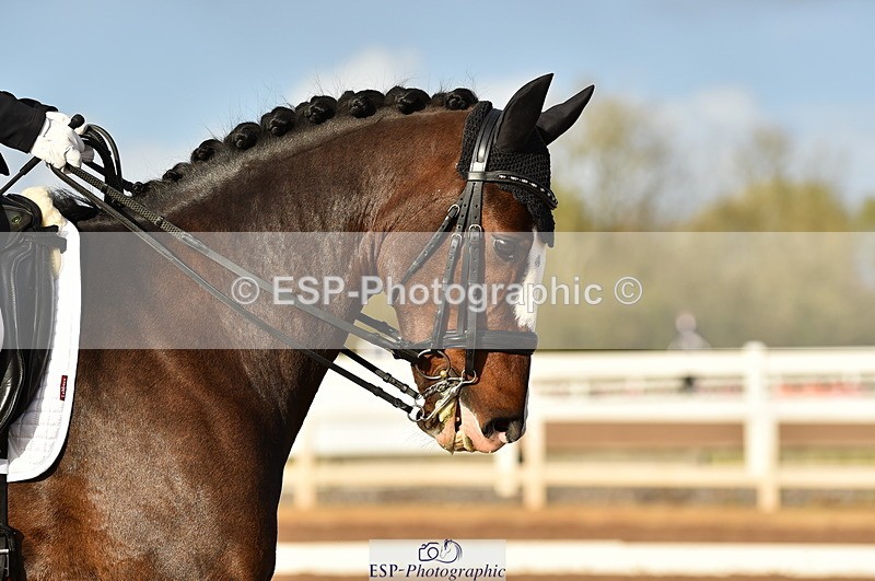 231104A-135844-01980 - Cls 10 Medium 61