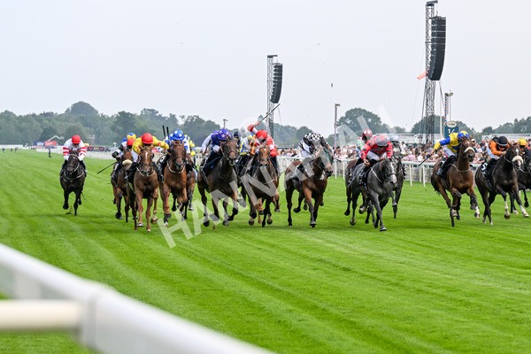 250725-Race 1-Pressures On - Quest For Fun-0199 - Race 1 5.30pm eventmasters.co.uk Handicap