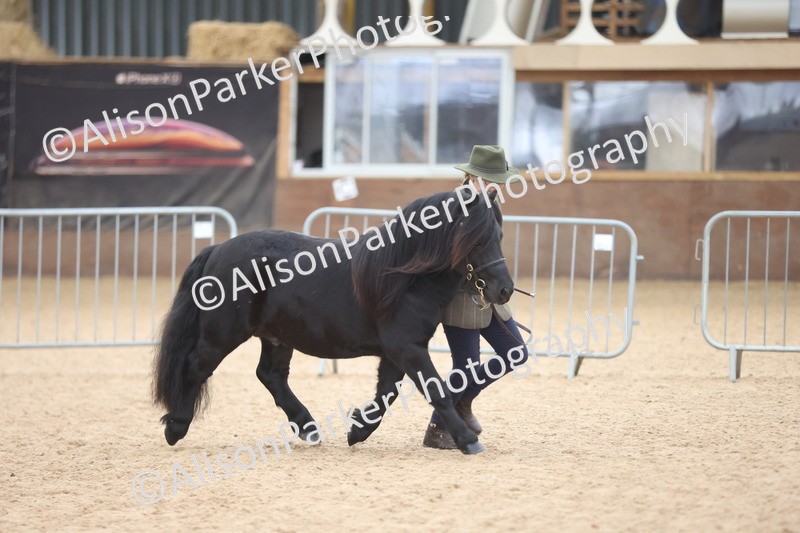 20251109-1229 - Supreme Championship