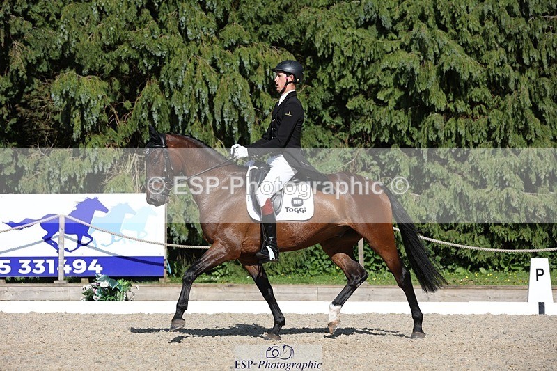 230526-171245-07925 - 176-TENZ-Will_Rawlin-WEDTrotUp+DR