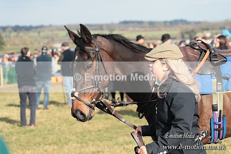 PtP 010325 376 - Beaufort Races Didmarton 01/03/25